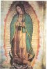Virgen-de-Guadalupe-w.jpg