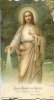 SacredHeartGreenFoliage.jpg