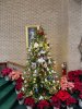 IMG_0174.jpeg