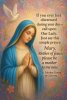 FB_IMG_1779800512760.jpg