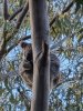 IMG_3823.jpeg