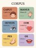 FB_IMG_1786205189387.jpg