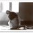 Genuflect